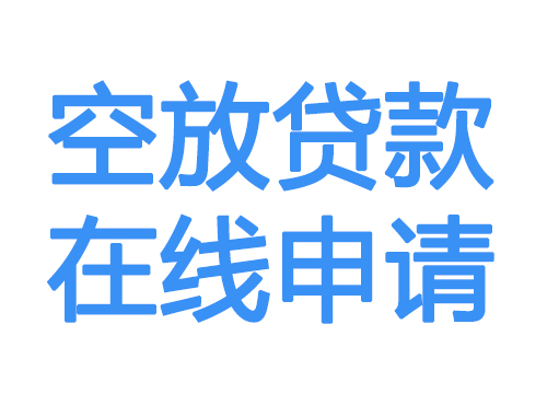 芜湖空放借款申请